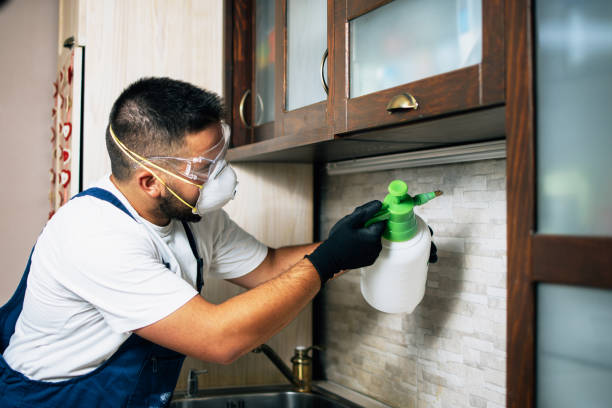 Best Exterminator Services  in Lanett, AL