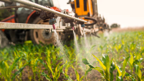 Best Ant Control Services  in Lanett, AL