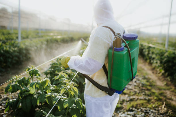 Best Best Pest Control Companies  in Lanett, AL